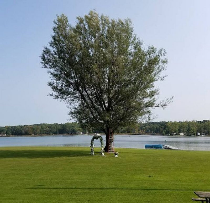 Lone Star Resort - From Web Listing (newer photo)